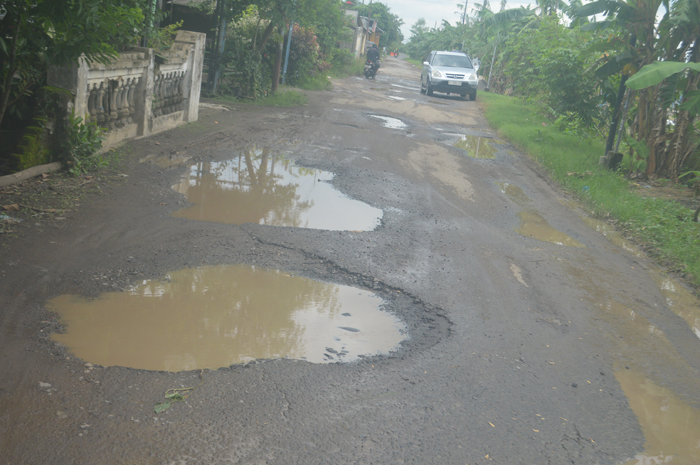 RUSAK BERAT: Kondisi jalan di Desa Gedangan, Kecamatan Sumobito, Jombang yang rusak mirip kolam ikan (13/1).