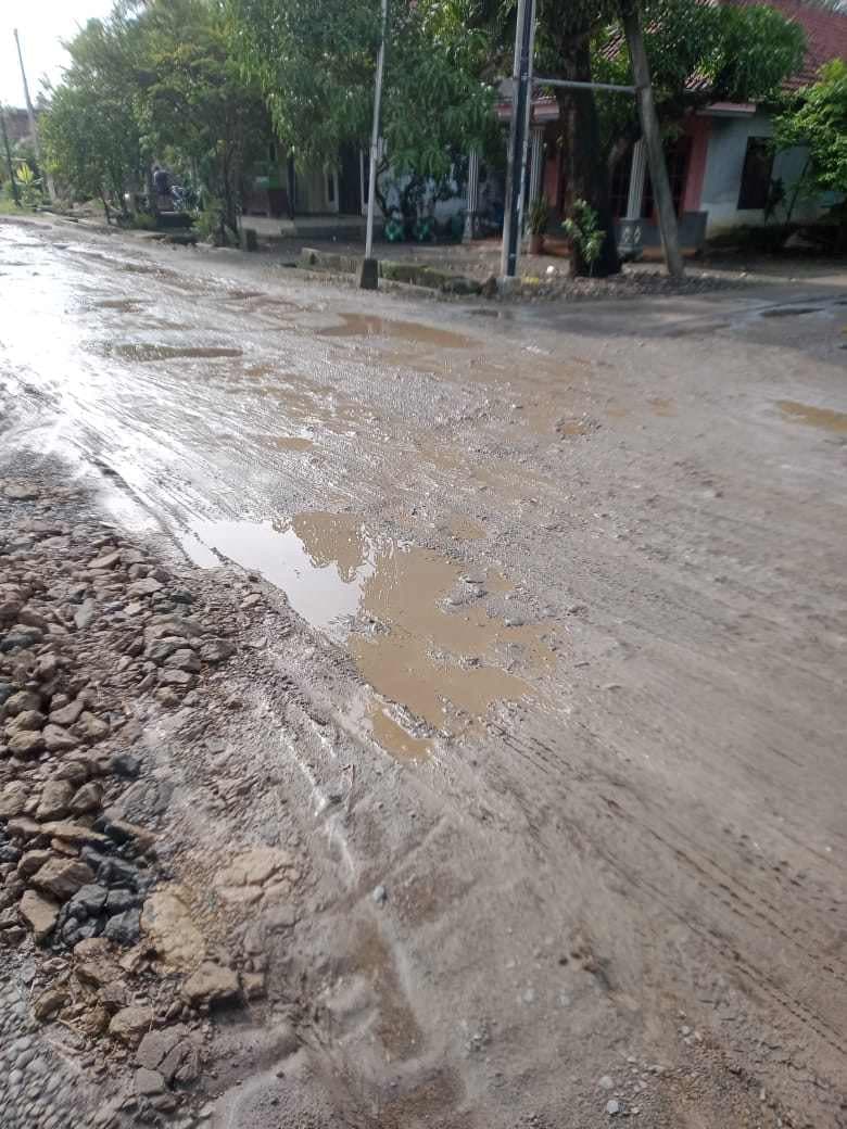 BUTUH PERBAIKAN: Jalan rusak di Dusun Borocilik, Desa Gedangan, Kecamatan Sumobito, Jombang.