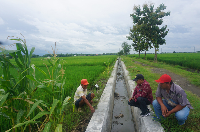 UNTUK PETANI: Kepala Desa Tejo Ponedi (tengah) bersama perangkat desa saat menyapa petani di lokasi pembangunan saluran irigasi lahan persawahan Dusun Klampisan.