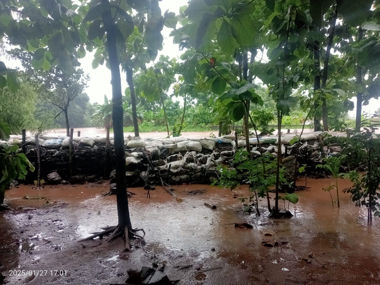 BAHAYA: Parapet Kali Pancir di Desa Karangwinongan, Kecamatan Mojoagung, Jombang ambrol tergerus air.