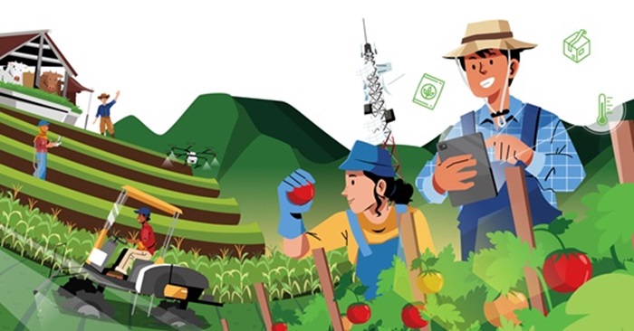 Ilustrasi penyuluh pertanian lapangan (PPL) pertanian.