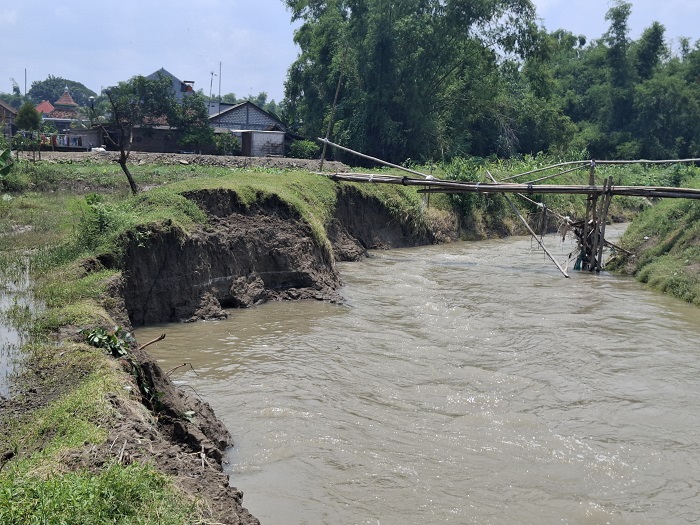 JEBOL: Kondisi tanggul Kali Kabuh yang merupakan anak sungai dari Kali Marmoyo di Desa Pandanblole, Kecamatan Ploso, Jombang yang jebol, Kamis (27/2).