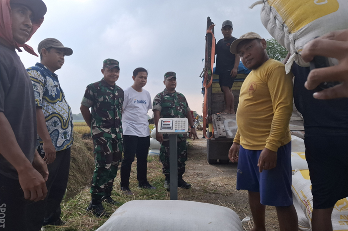 Perum Bulog Kantor Cabang Mojokerto bersama Kodim 0814 Jombang menggelar sidak dan pemantauan serapan gabah di Desa Menganto, Kecamatan Mojowarno, Kamis (5/3).