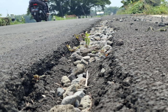 Kondisi jalan ruas Ploso-Sumbergondang yang dibangun dari program Inpres Jalan Daerah (IJD) tahun 2023 dikeluhkan warga sekitar