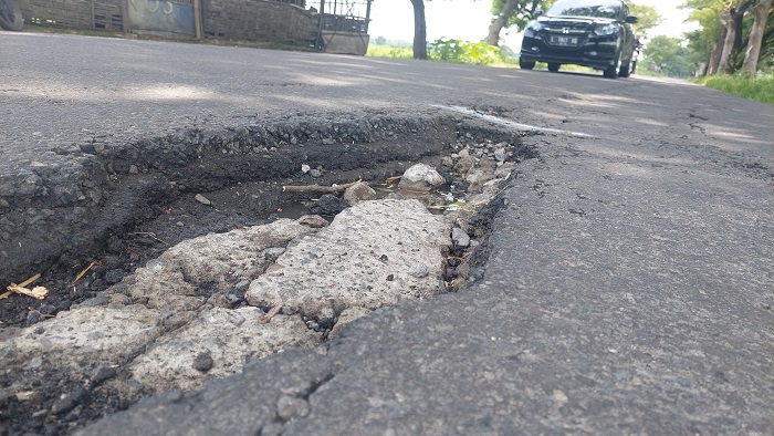 BERLUBANG: Kondisi jalan kabupaten di Desa Mojojejer, Kecamatan Mojowarno, Jombang yang rusak.
