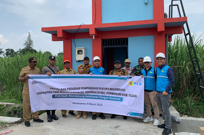 BEROPERASI: PLN UP3 Mojokerto resmi mengoperasikan listrik pompanisasi sawah di Desa Sidomulyo, Kecamatan Purwoasri, Kabupaten Kediri, Selasa (4/3).