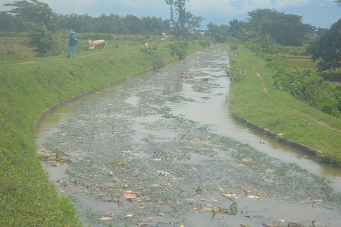 TERSENDAT: Uji alir irigasi Pariterong Jombang terkendala sedimentasi di hulu saluran Desa Kepuhkajang, Kecamatan Perak.