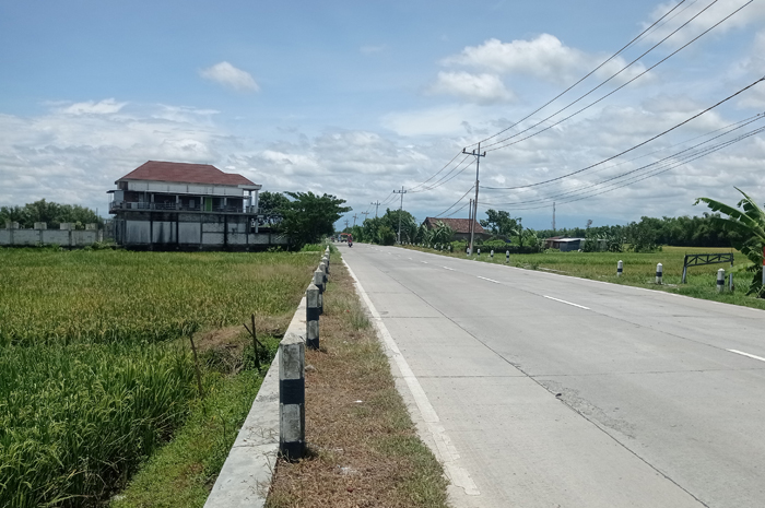 MINIM PENERANGAN: Jalan kabupaten ruas Kabuh-Tapen, Jombang jadi salah satu jalur alternatif mudik dan balik Lebaran
