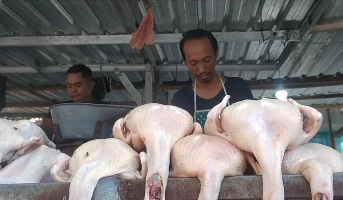 MERANGKAK NAIK: Harga ayam di Jombang jelang Lebaran terkerek naik.