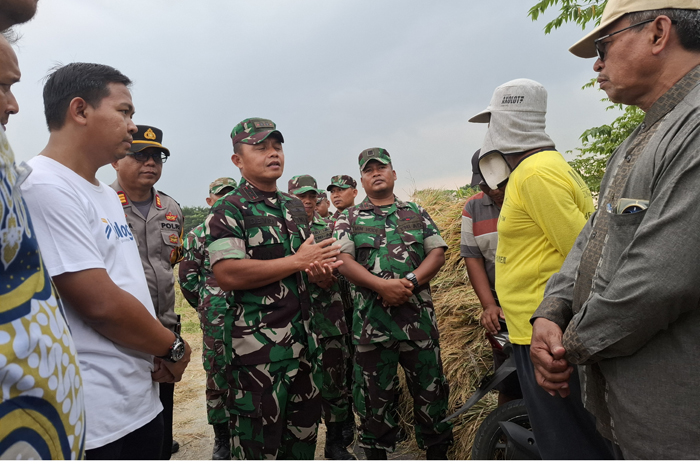 &ndash; Perum Bulog Cabang Mojokerto memastikan seluruh kegiatan penyerapan gabah petani di Jombang berjalan maksimal.