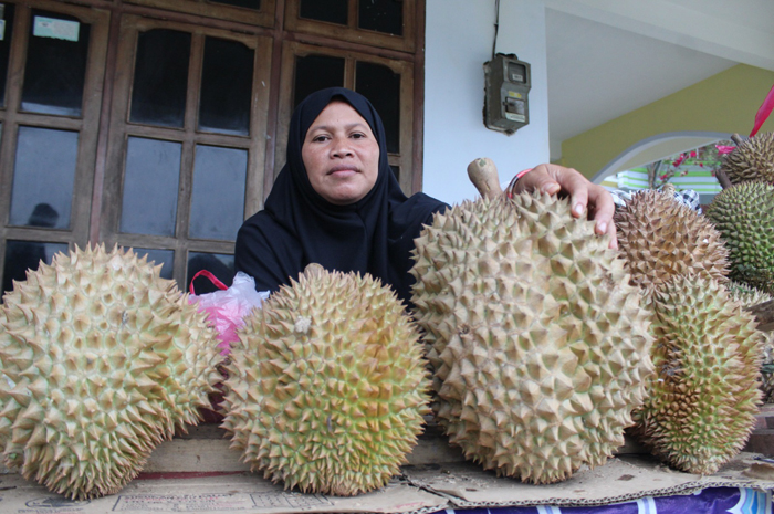 MENGGIYURKAN: Petani durian Wonosalam, Jombang saat menunjukkan durian hasil kebunnya.
