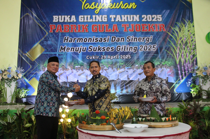 SEVP Koordinator KSO PT Sinergi Gula Nusantara, Imam Cipto Suyitno, memberikan potongan tumpeng kepada General Manajer (GM) PG Tjoekir, Abdul Azis.