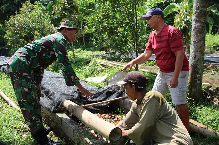 BERPOTENSI: Wulyoadi, 49, warga Dusun Tukum, Desa/Kecamatan Wonosalam, Jombang saat merawat tanaman cacingnya (5/7).