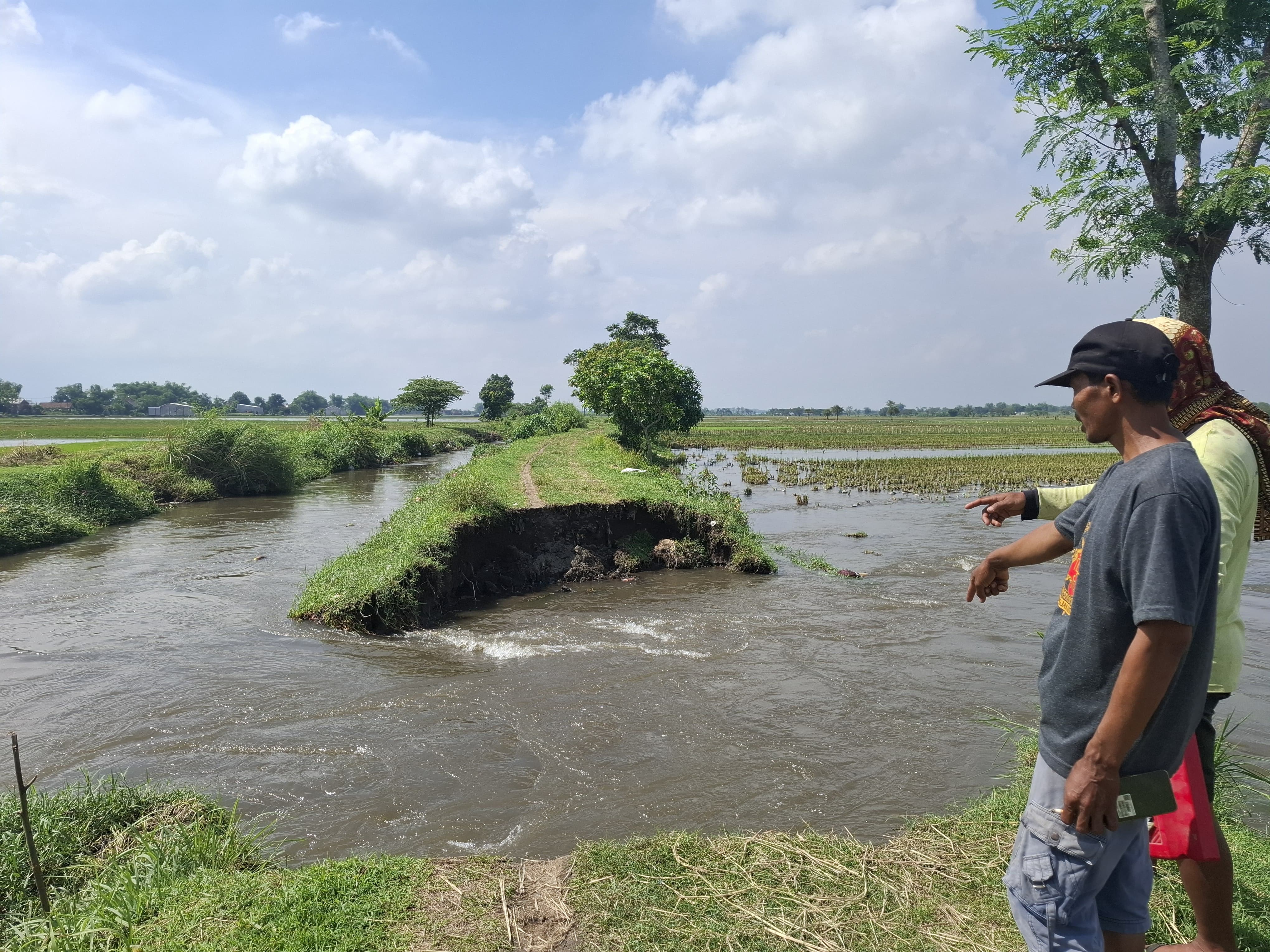 Petani menunjukkan kondisi tanggul Sekunder Pilang Hilir di Desa Pucangsimo, Bandarkedungmulyo Jombang yang jebol (13/5)