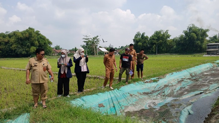 MASIH AMAN: Air sungai yang mengalir di Desa Sawiji dan Tambar, Kecamatan Jogoroto, Jombang, (11/5).