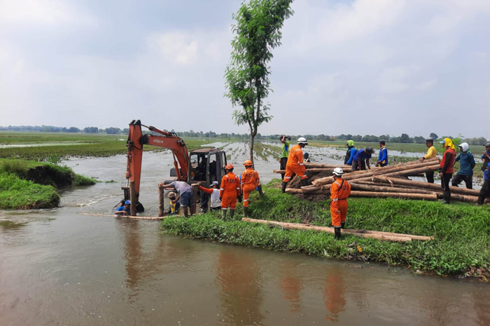 penanganan tanggul jebol di saluran Sekunder Pilang Hilir Desa Pucangsimo, Kecamatan Bandarkedungmulyo, Jombang, mulai berjalan.