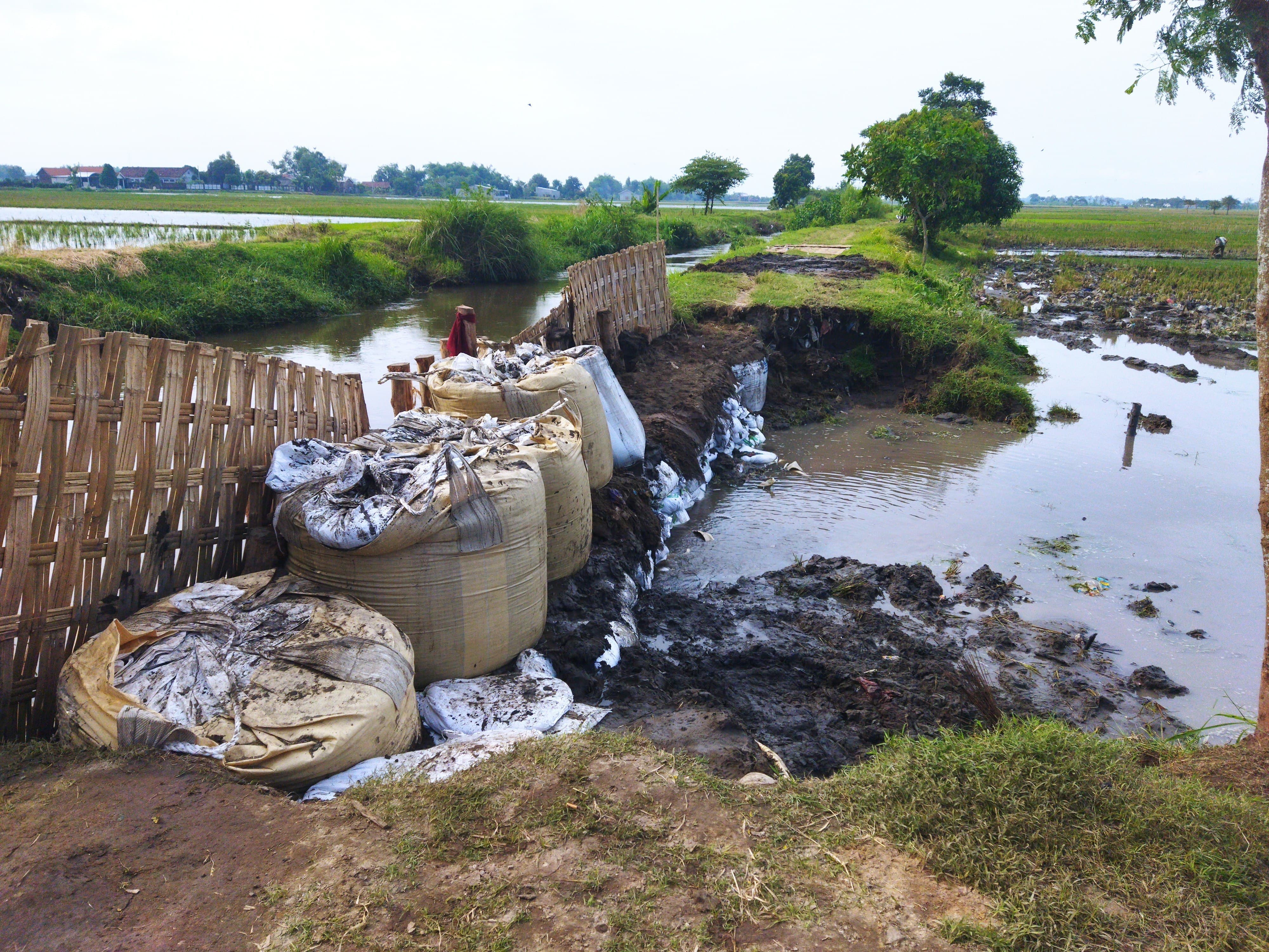 Tanggul jebol di saluran Sekunder Pilang Hilir Desa Pucangsimo, Kecamatan Bandarkedungmulyo, Jombang, sudah berhasil ditutup.