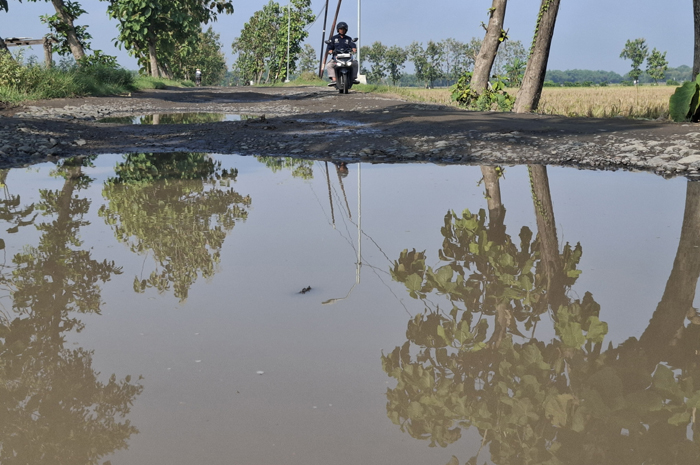 Kondisi jalan poros kecamatan di perbatasan Desa Bangsri dan Desa Gebangbunder, Kecamatan Plandaan, Jombang, rusak berat.