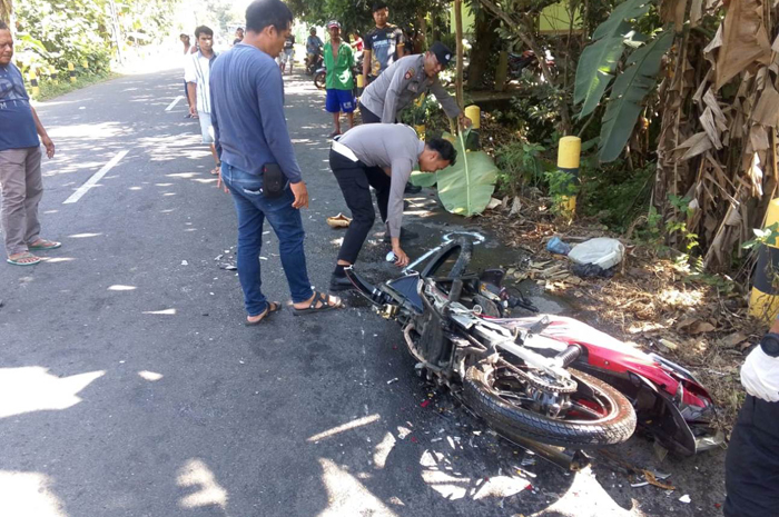 Kecelakaan melibatkan kendaraan sepeda motor Yamaha Jupiter dan mobil Toyota Kijang Innova terjadi di jalan raya Dusun Padar, Desa Kesamben, Kecamatan Ngoro, Jombang, Minggu (25/5) pagi