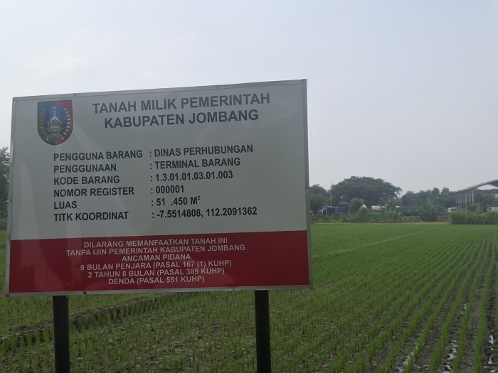 DITANAMI PADI: Lahan Terminal Barang di Desa Tunggorono, Kecamatan Jombang bakal diuruk untuk keperluan Sekolah Rakyat.