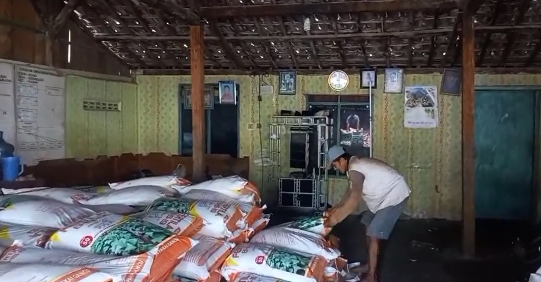 DISTRIBUSI: Pupuk NPK untuk tembakau didistribusikan ke poktan di utara Sungai Brantas, Jombang.