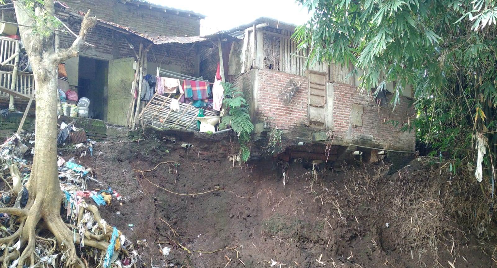 BUTUH PENANGANAN PERMANEN: Tanggul Kali Catak Banteng di Dusun Betek Selatan, Desa Betek, Kecamatan Mojoagung, Jombang yang longsor mengancam bangunan rumah warga.