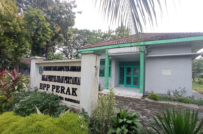 Kantor BPP (Balai Penyuluh Pertanian) Kecamatan Perak di Desa Glagahan, Kecamatan Perak, Jombang sebagian akan digunakan Terminal Barang.