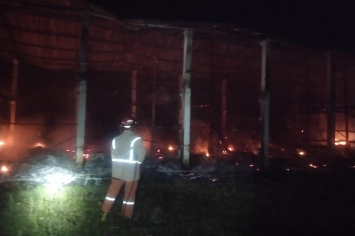 Sebuah kandang ayam di Dusun Jinggring, Desa/Kecamatan Ngusikan, Jombang, ludes terbakar, Rabu (2/7) dini hari