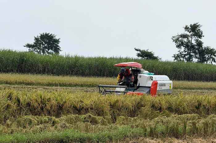 MODERN: Petani panen padi menggunakan combine di Desa Keras, Kecamatan Diwek, Jombang, Senin (7/7).