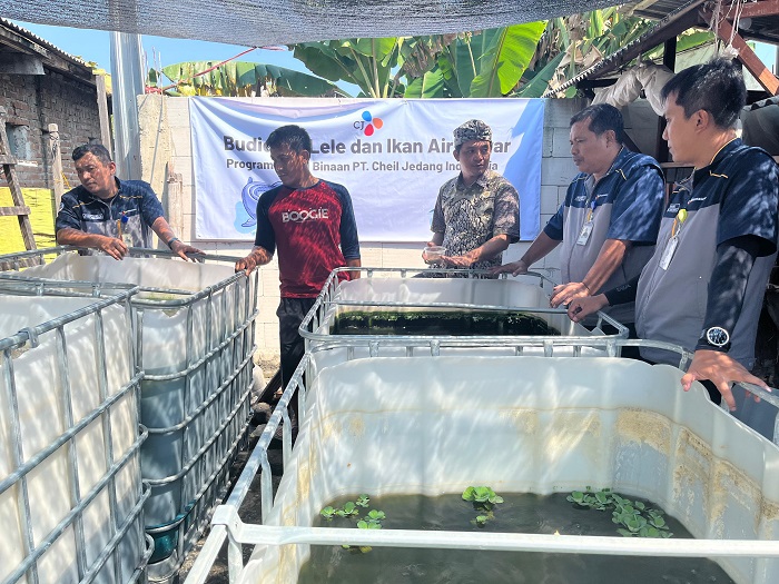 BERKEMBANG: Jajaran manajemen PT CJI Jombang sinergi dengan pemerintah desa dalam pembinaan budidaya ikan lele, Kamis (10/07).