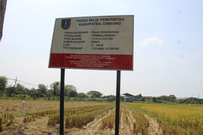 MILIK PEMKAB: Warga memanen padi di area lahan Terminal Kargo Tunggorono, Kecamatan Jombang, Kamis (24/7).
