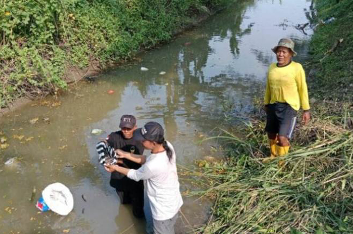 JAGA EKOSISTEM SUNGAI: Kepala Desa Pojokrejo H. Nursan (kaos hitam) menebar benih ikan lele di aliran sungai Dusun Delik, Desa Pojokrejo, Kesamben, Jombang.