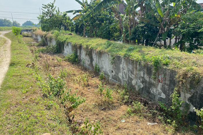 MANGKRAK: Irigasi Pariteong di Desa Pundong, Diwek, Jombang di tumbuhi semak belukar kemarin (18/8).