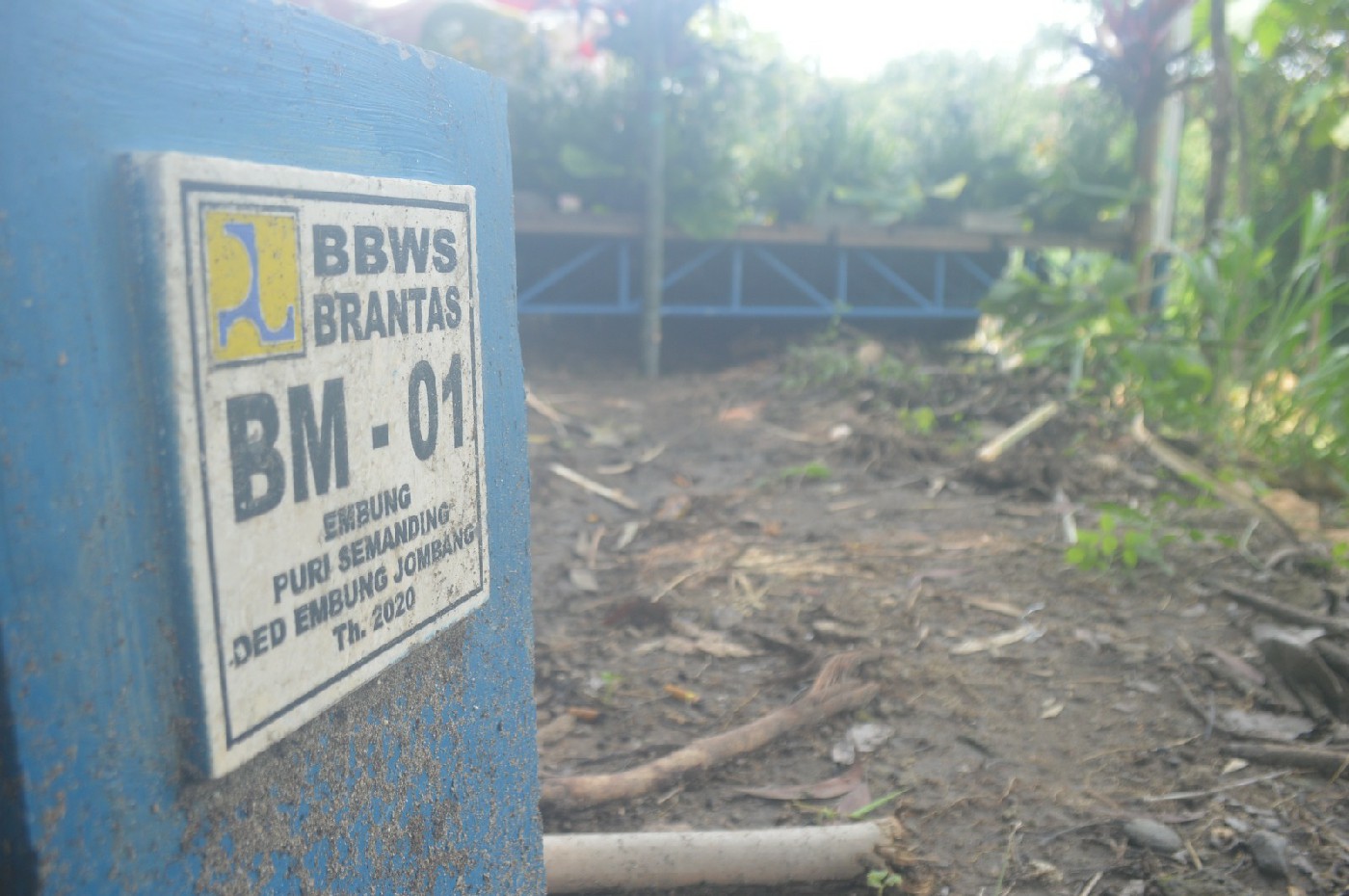 Lahan yang rencananya dibangun embung di Desa Purisemanding, Kecamatan Plandaan, Jombang.