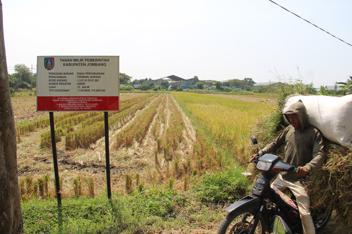 SEGERA DIMULAI: Pembebasan dan pengurukan lahan Sekolah Rakyat di Terminal Kargo Tunggorono, Jombang akan segera dimulai.