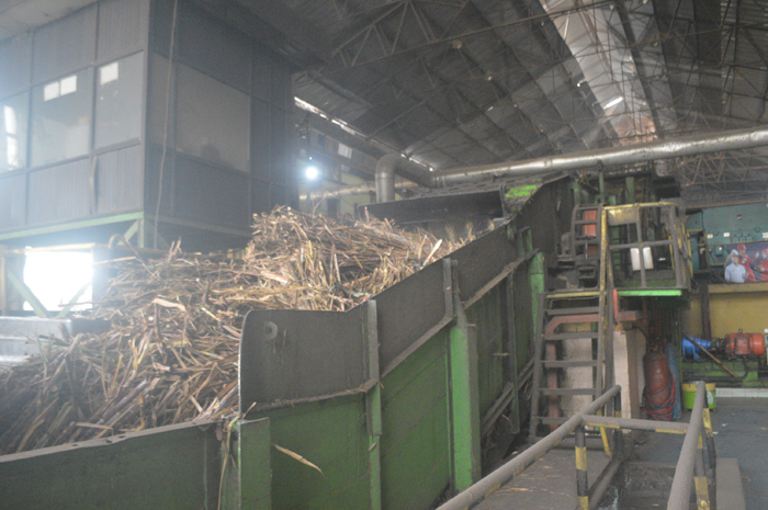 DIGILING: Tebu milik petani digiling di PG Tjoekir Desa Cukir, Kecamatan Diwek, Jombang.