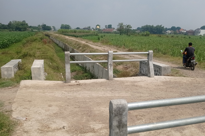 NGANGGUR: Kondisi irigasi Pariterong di Desa Kedawong, Kecamatan Diwek, Jombang yang belum berfungsi.