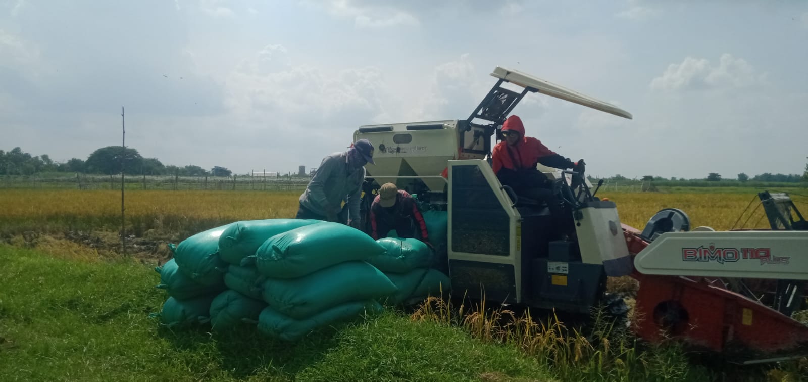 DIPANEN: Petani di Jombang memanen padi menggunakan mesin combine.