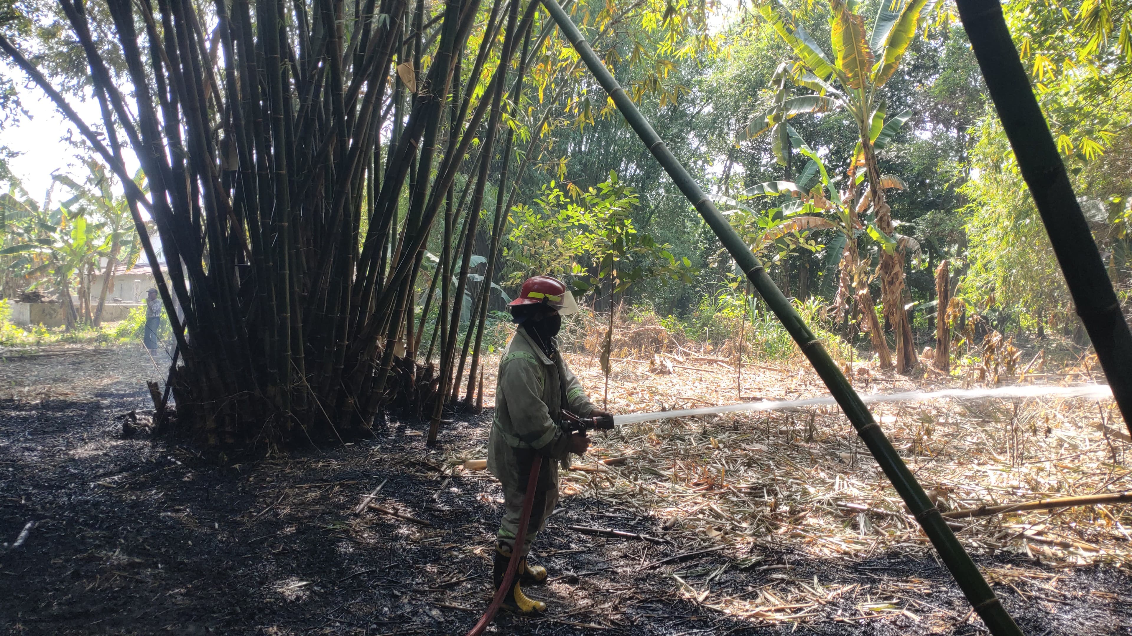Peristiwa memilukan terjadi di Pandanwangi, Diwek, Jombang, Minggu (7/9/2025) pagi. Bonadji Hadi Prayitno, 78, nyaris terpanggang hidup-hidup setelah tubuhnya dilalap api saat membakar sampah.