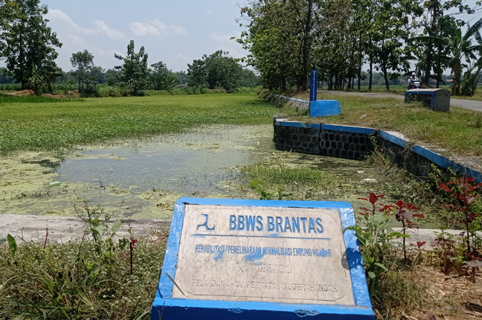 PENUH AIR: Embung Ngabar di Desa Sumberteguh, Kecamatan Kudu, Jombang di musim kemarau tak lagi mengering.