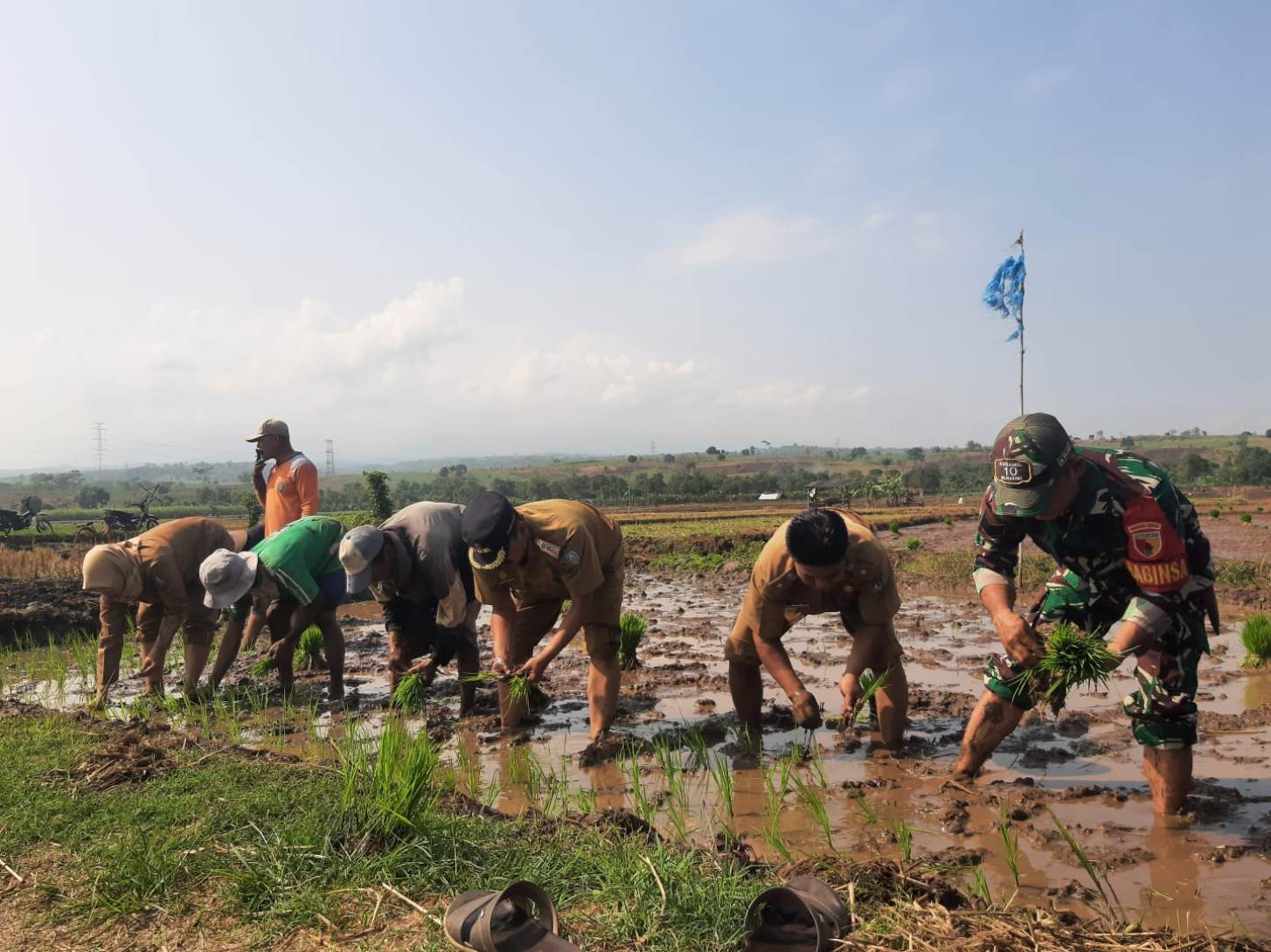 Kades Kedunglumpang Juprianto mendampingi Camat Mojoagung Anjik Eko Saputro dan jajaran Koramil 0814-10/Mojoagung bersama PPL dan Poktan Gedangan saat menanam padi di area persawahan Dusun Gedangan