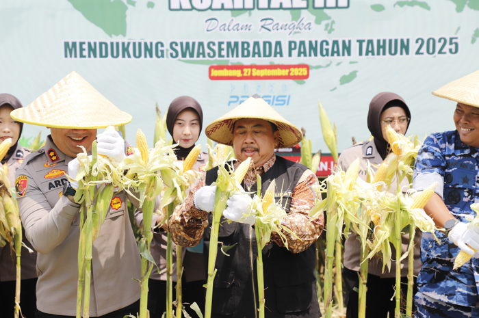 SINERGI: Bupati Warsubi beserta Forkopimda Kabupaten Jombang panen jagung di Desa Keras, Kecamatan Diwek, Sabtu (27/9).