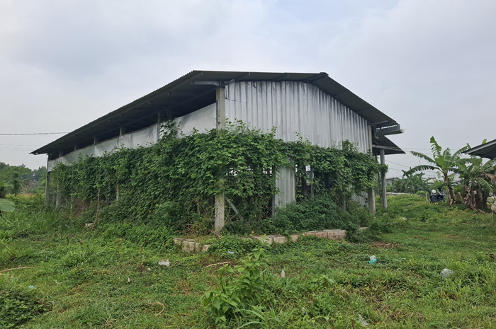 Kondisi BUMDesma di Desa Denanyar, Kecamatan Jombang yang diinisiasi Kemendes PDTT hingga kini mangkrak.