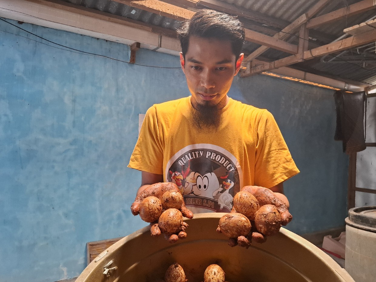 Agus Supriyono, 33, warga asal Dusun Tebuireng, Desa Cukir, Kecamatan Diwek, Jombang, tradisi membuat telur asin dengan resep warisan leluhurnya.