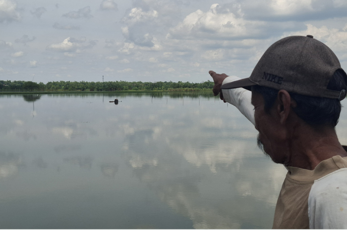 Puluhan hektare sawah di Dusun Jatirowo, Desa Jatigedong, Kecamatan Ploso, Jombang terendam air hampir dua pekan terakhir.