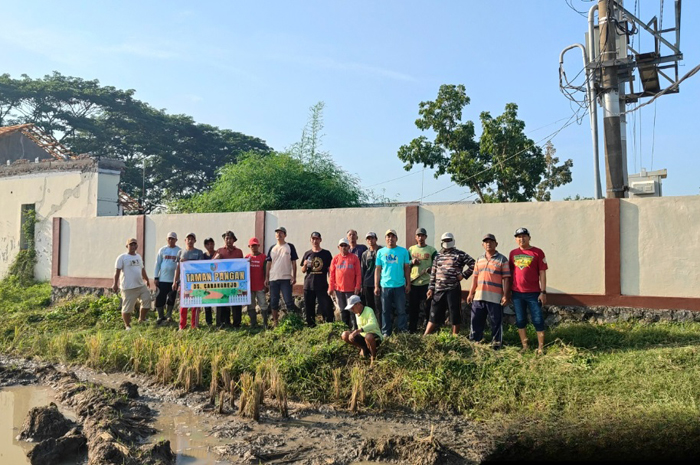 UNTUK WARGA DESA: Kepala Desa Carangrejo Supriaji bersama jajaran perangkat desa, BPD dan Poktan saat kerja bakti di lokasi Taman Pangan.