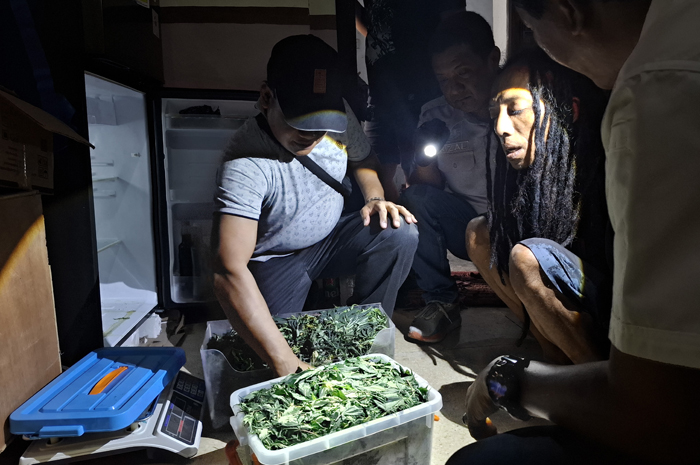 olres Jombang menggerebek kebun ganja di sebuah rumah kontrakan di Dusun Mojongapit, Desa Mojongapit, Kecamatan Jombang, Senin (15/12).