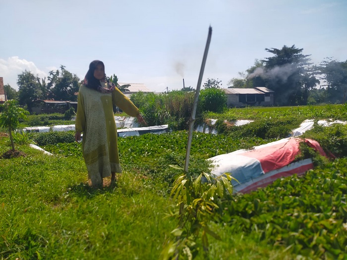 POLEMIK: Salah satu pemilik sawah di Jombang menunjukan area persawahannya yang sudah dikeruk.