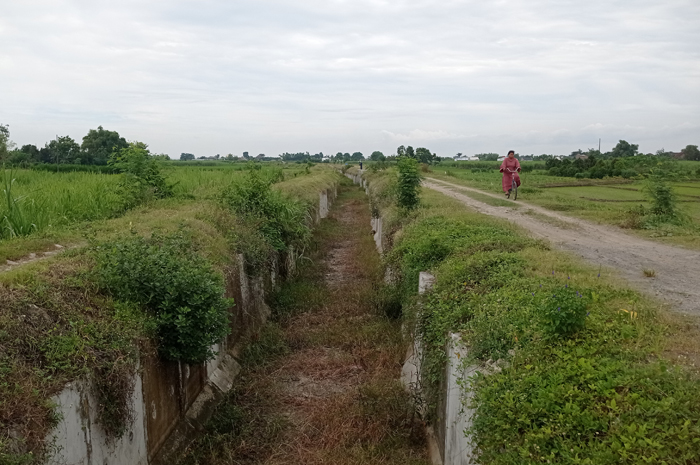 Irigasi Pariterong di Desa Kedawong, Kecamatan Diwek, Jombang yang belum difungsikan.