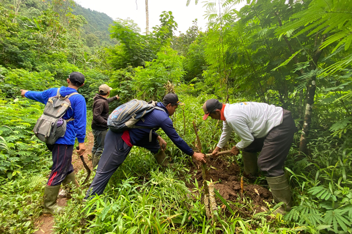 DITANAM: Warga kampung adat Segunung Desa Carangwulung Kecamatan Wonosalam, Jombang menanam bibit pohon di lahan kritis hutan Boscini, Kamis (11/12).